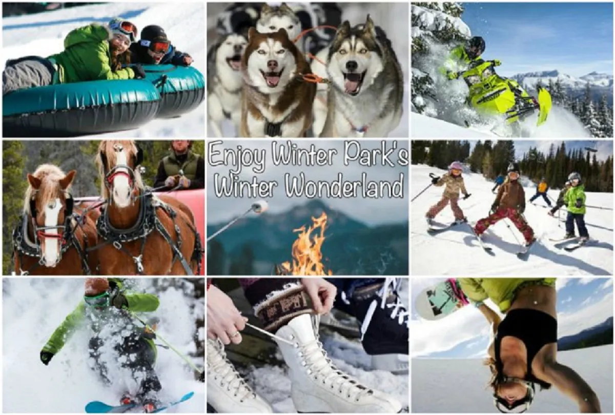 A dynamic collage featuring winter activities: people snow tubing, teams of huskies for dog sledding, snowmobiles ready for a ride, horse-drawn sleighs, skiers, snowboarders, and cozy fireside gatherings. It offers an inviting energy and sense of shared excitement during winter months.